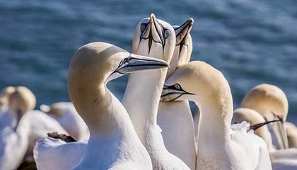 nba投注-星空体育APP：点亮你的运动星空，成就更强的自己